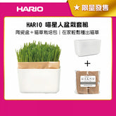 【HARIO】喵星人盆栽套組(PTS-NKCN-2P-SH)貓咪專用 居家療癒小物
