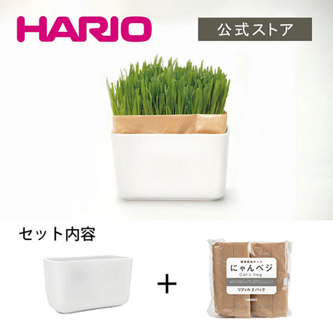 【HARIO】喵星人盆栽套組(PTS-NKCN-2P-SH)貓咪專用 居家療癒小物