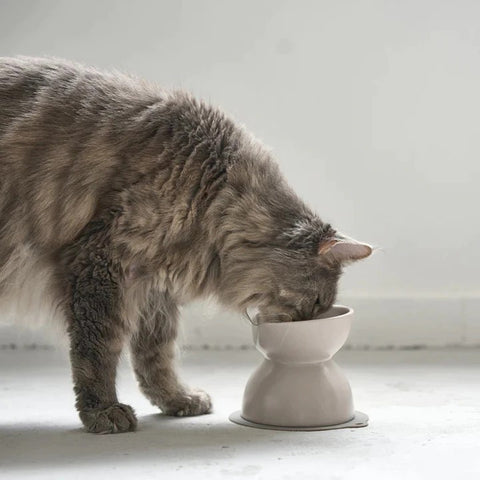 【HARIO】INK 小型犬雙面磁碗 100ml/300ml 灰米(IK-CFB-GG)/霧黑(IK-CFB-MB)