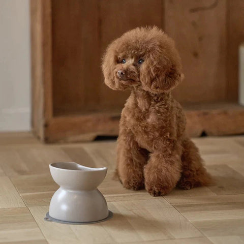 【HARIO】INK 小型犬雙面磁碗 100ml/300ml 灰米(IK-CFB-GG)/霧黑(IK-CFB-MB)