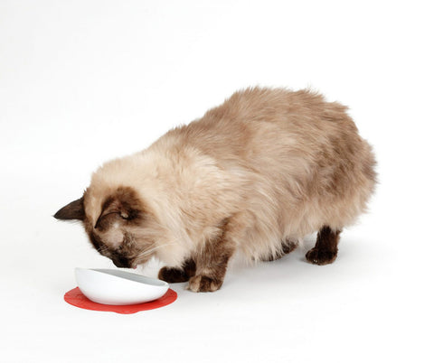 【HARIO】長毛貓專用磁碗 紅色墊 30ml(PTS-NYL-R)