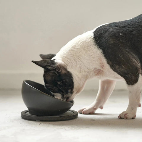 【HARIO】INK 法鬥犬專用碗 150ml 灰米(IK-BHP-GG)/霧黑(IK-BHP-MB)