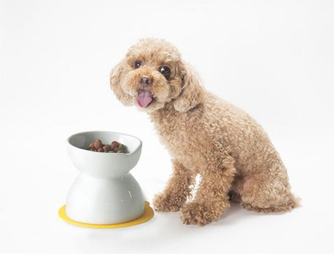 【HARIO】小型犬雙面磁碗 100ml/300ml 天空藍(PTS-CBD-BGR)/櫻花粉(PTS-CBD-PPR)/潔淨白(PTS-CBD-W)