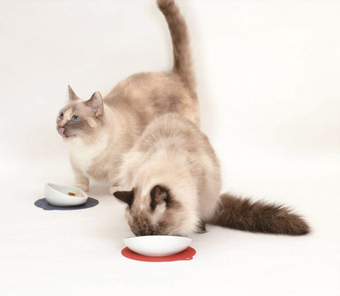 【HARIO】長毛貓專用磁碗 紅色墊 30ml(PTS-NYL-R)