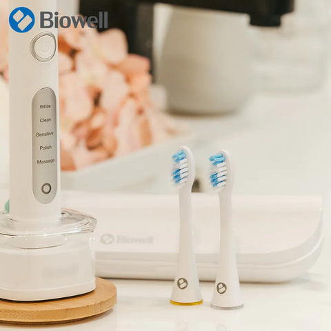 【Biowell 博佳】音波牙刷 刷頭組 2入 ST101