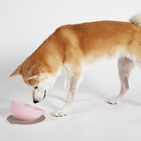 【HARIO】中型犬專用磁碗 130ml 櫻花粉(PTS-MA-PPR)/潔淨白(PTS-MA-W)