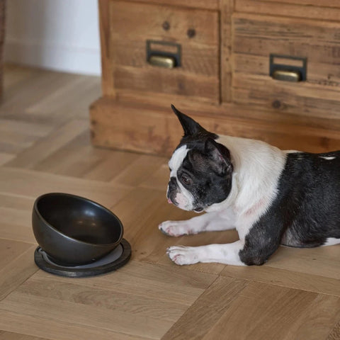 【HARIO】INK 法鬥犬專用碗 150ml 灰米(IK-BHP-GG)/霧黑(IK-BHP-MB)