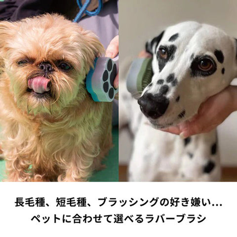【HARIO】寵物專用兩面刷 硬毛 深綠色(PTS-GTH-OG)/軟毛 芥末黃色(PTS-GTM-MDY)