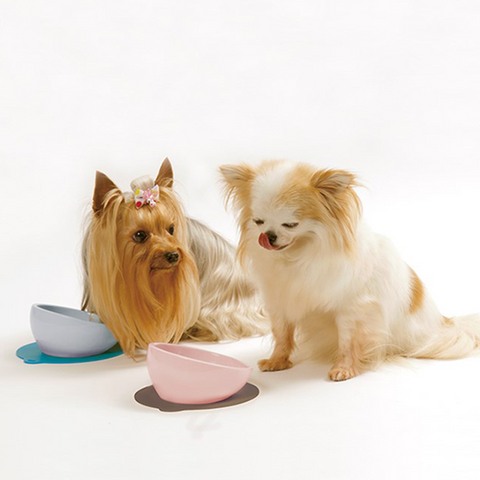 【HARIO】 小型犬專用潔淨白磁碗75ml  附止滑墊(PTS-CB-W)