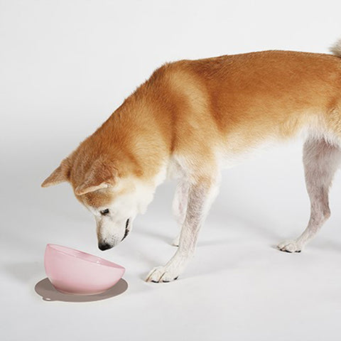 【HARIO】 中型犬專用潔淨白磁碗130ml 附止滑墊(PTS-MA-W)